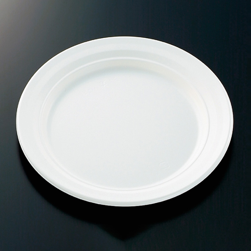 中央化学 軽食容器 CT沙楽 M24 W 身 50枚/袋（ご注文単位4袋）【直送品】