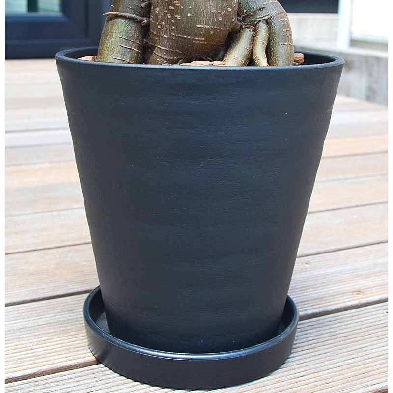 琴花園 観葉植物 ガジュマル 多幸の木 6号ブラックセラート鉢 1個(ご注文単位1個)【直送品】