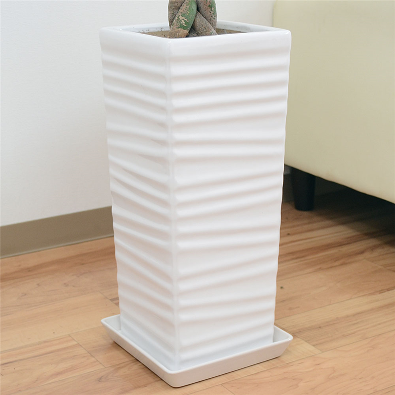 琴花園 観葉植物 編みこみパキラ 発財樹 7号 ウェーブスクエアポール陶器鉢 1個(ご注文単位1個)【直送品】