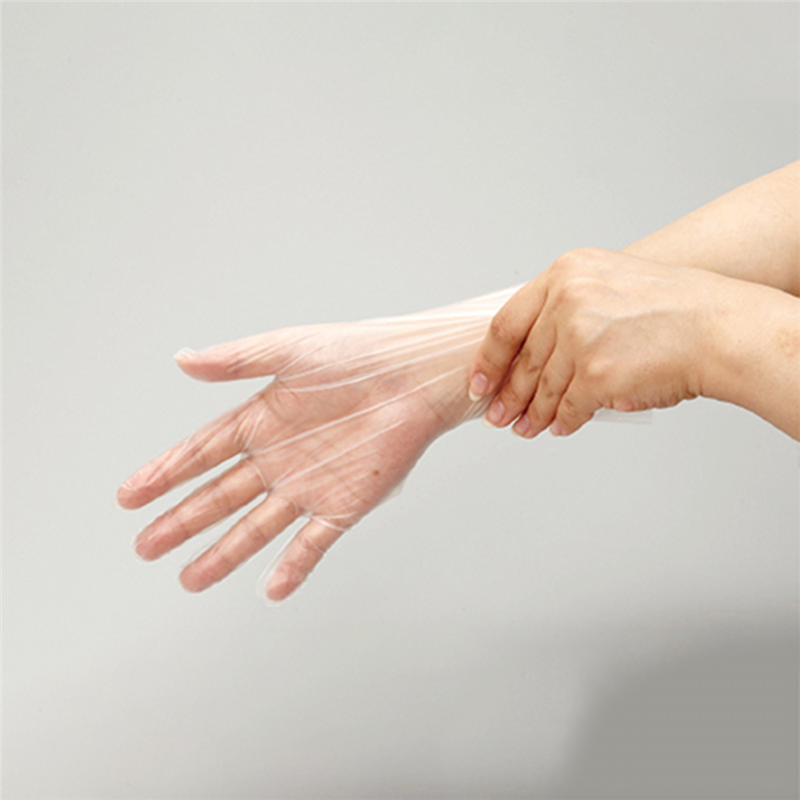 ロイヤルタッチグローブ レギュラー 1袋(ご注文単位1袋)【直送品】