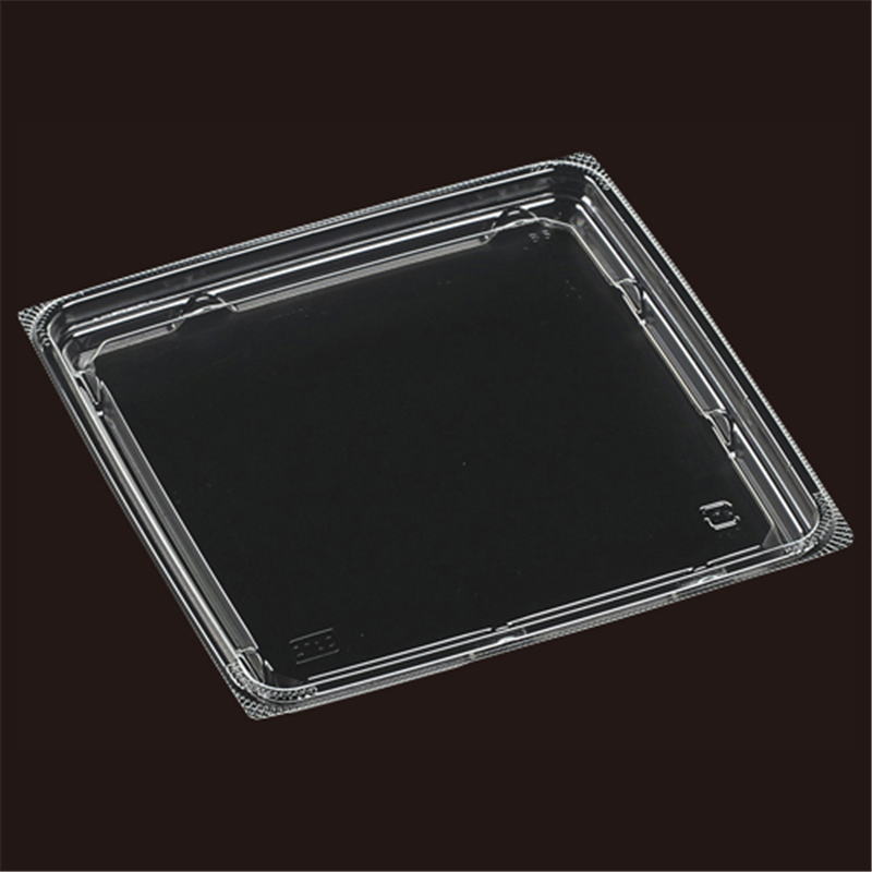 エフピコ サラダ容器 APベジBOX TC内嵌合蓋RS T-APベジBOX163RS 50枚/袋（ご注文単位1袋）【直送品】