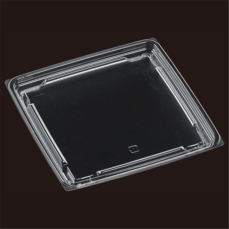 エフピコ サラダ容器 APベジBOX TC内嵌合蓋R T-APベジBOX170R 50枚/袋（ご注文単位1袋）【直送品】