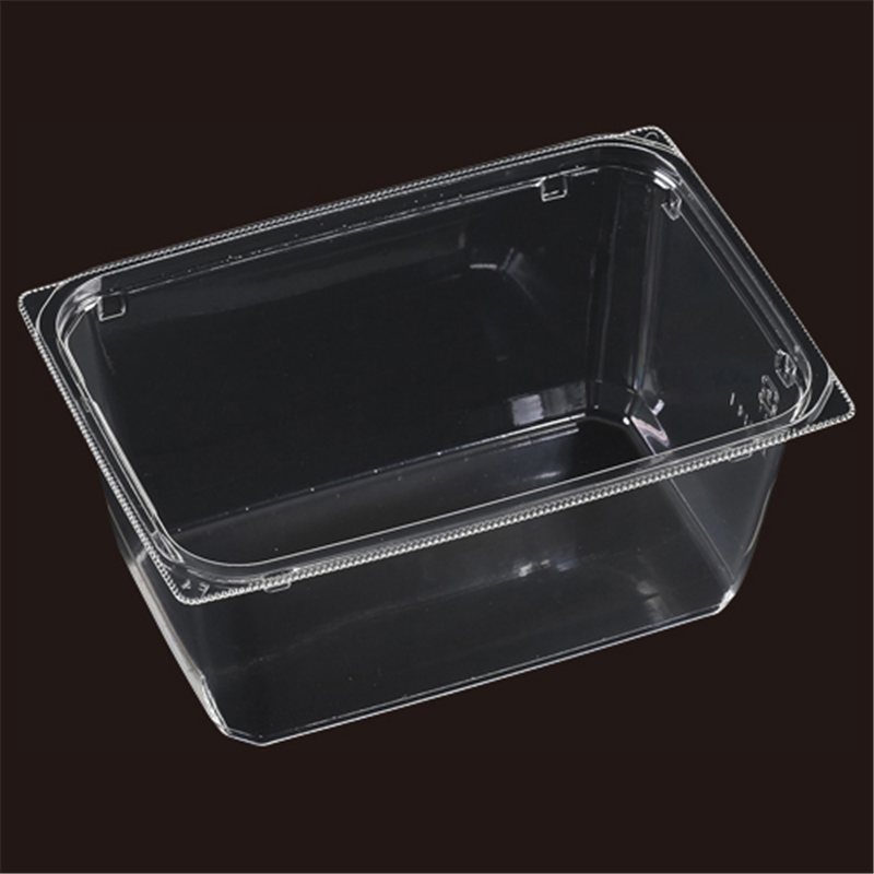 エフピコ サラダ容器 APベジBOX 本体 20-14 50枚/袋（ご注文単位1袋）【直送品】