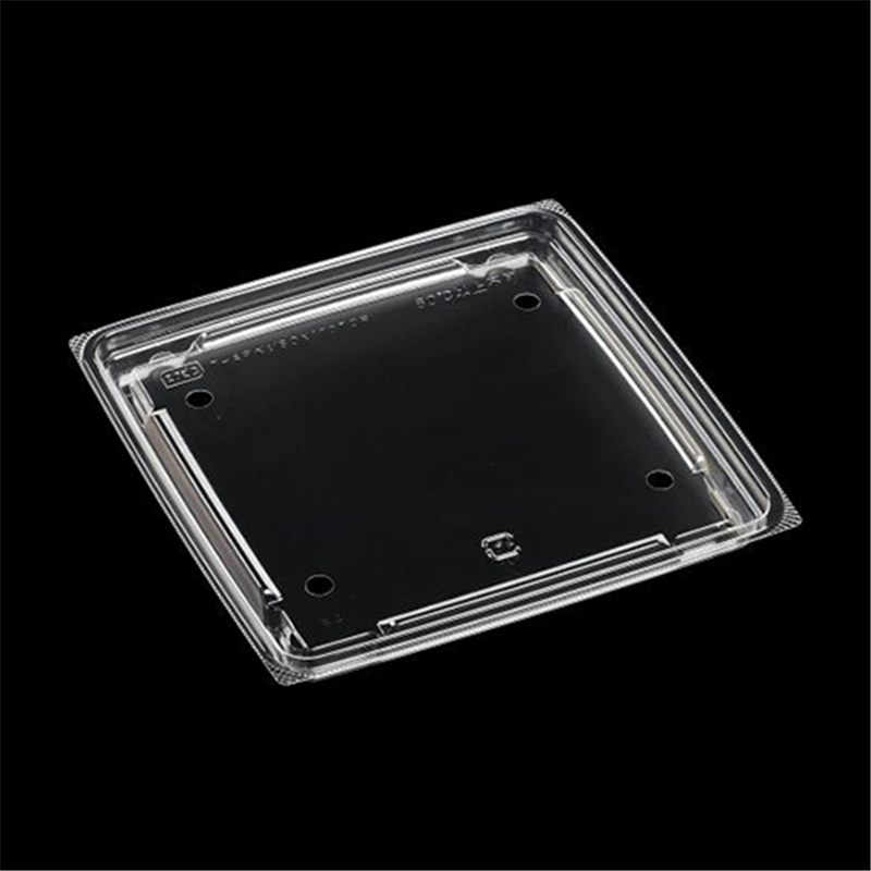 エフピコ サラダ・フルーツ容器 APベジBOX 内嵌合蓋 T-ベジBOX170TCR φ8穴 50枚/袋(ご注文単位1袋)【直送品】