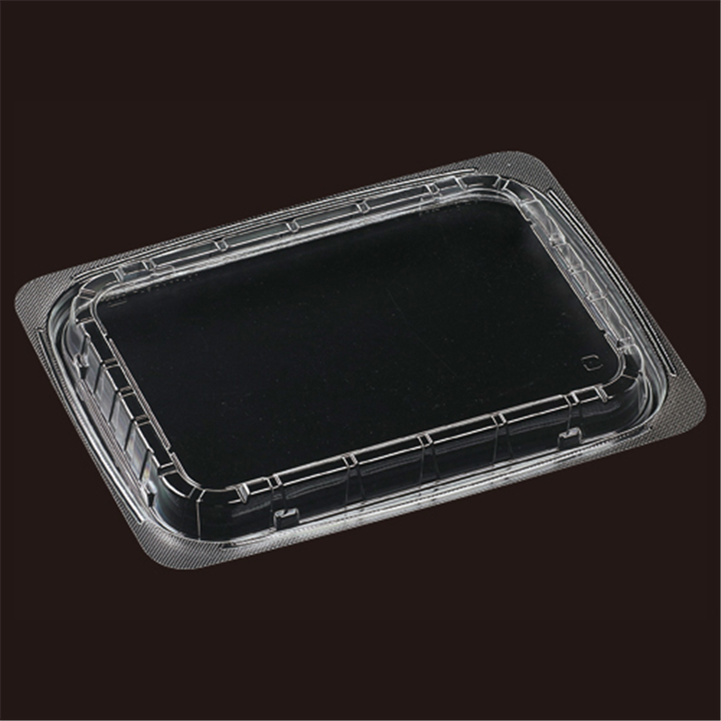 エフピコ ボックス型容器 内嵌合蓋 T-BOX-30-23 APエコ 透明 25枚/袋（ご注文単位1袋）【直送品】