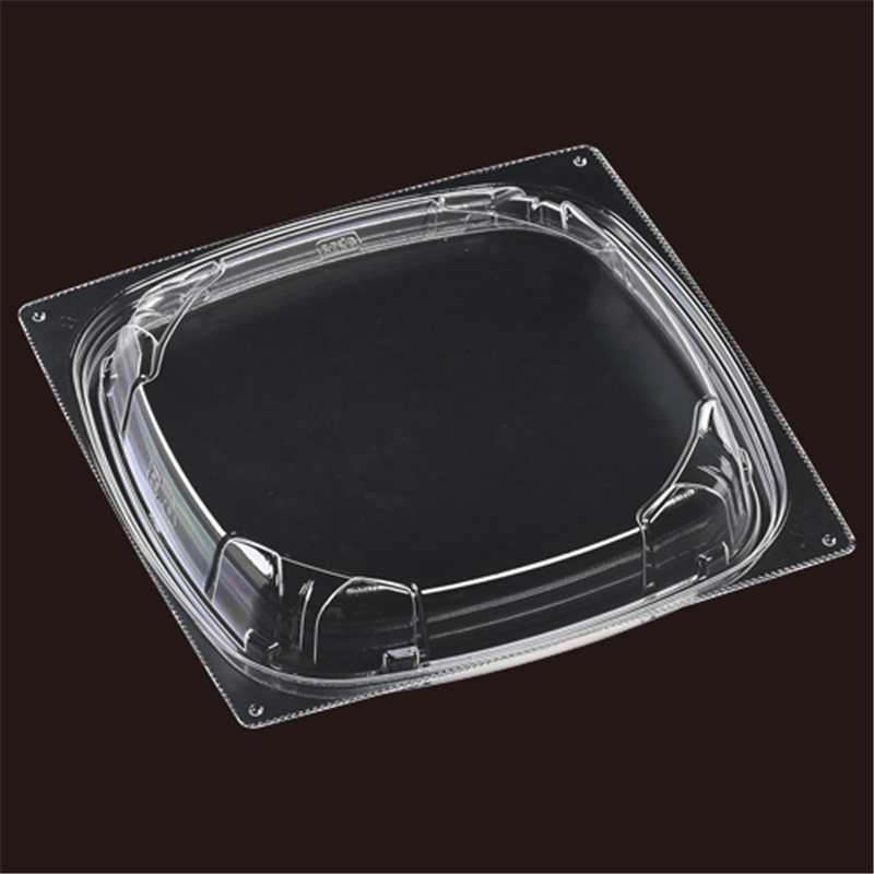 エフピコ 軽食・パスタ容器 パステ 嵌合蓋 T-パステ21-21 50枚/袋（ご注文単位1袋）【直送品】