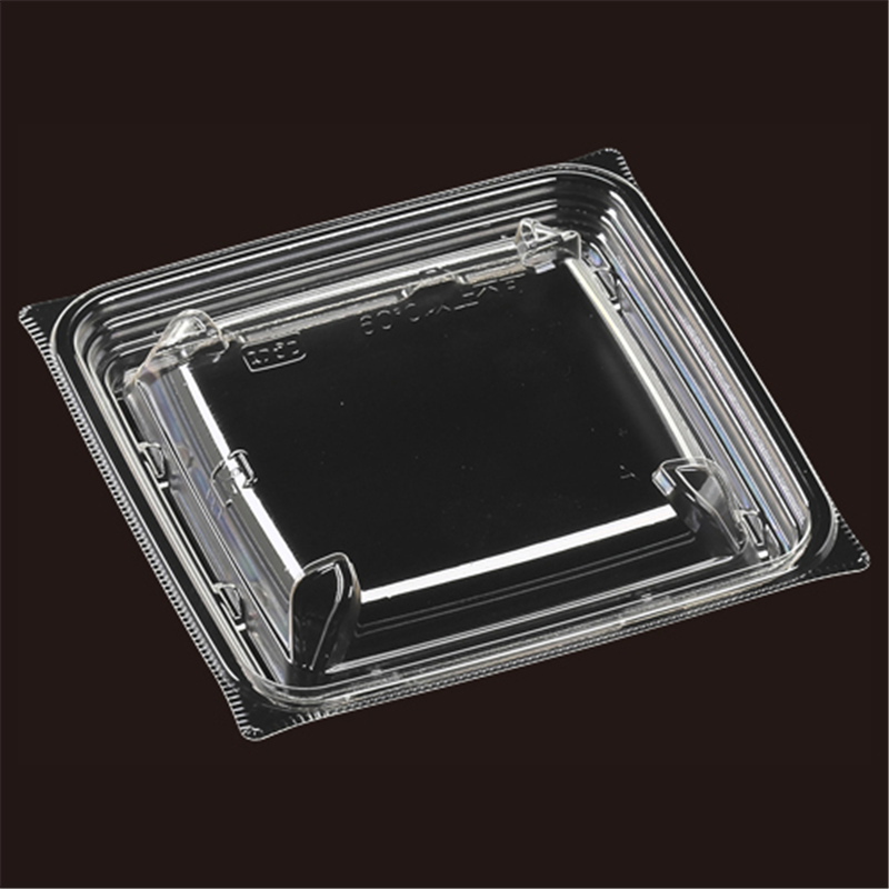 エフピコ サラダ容器 スリムBOX 嵌合蓋 T-スリムBOX13-13 100枚/袋（ご注文単位1袋）【直送品】