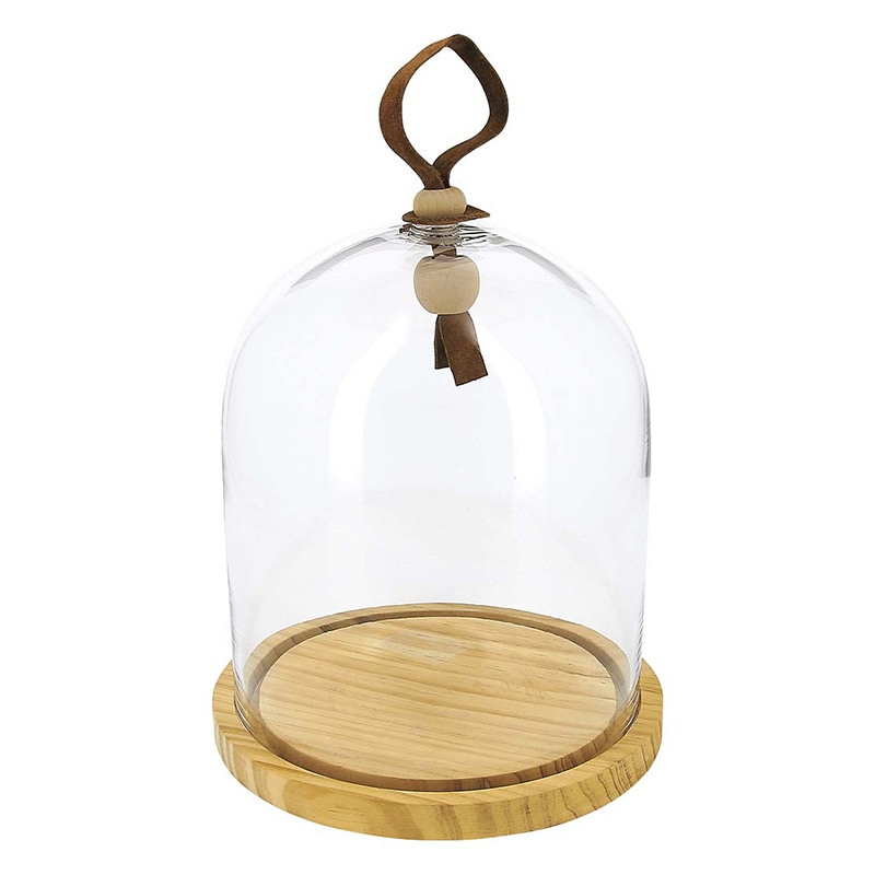 レヴォル　タッチ　ガラスドーム 木台セット　中　650900  1個（ご注文単位1個）【直送品】