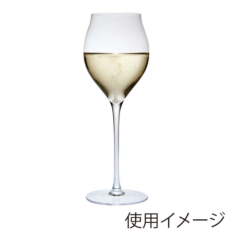 レーマン　ミランダ　チューリップ　シャンパーニュ 20206　250cc（6個入） 　1セット（ご注文単位1セット）【直送品】