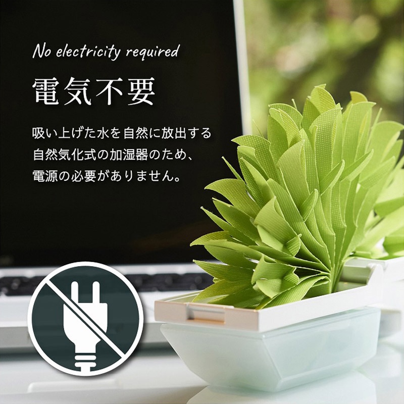 ミクニライフ&オート エコ加湿器 ちょこっとオアシス プラスシー 交換フィルター グリーン U50E-23 1枚(ご注文単位30枚)【直送品】