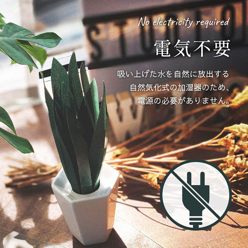 ミクニライフ＆オート エコ加湿器　ミスティプランツ　サンスベリア  U811-01 1個（ご注文単位20個）【直送品】