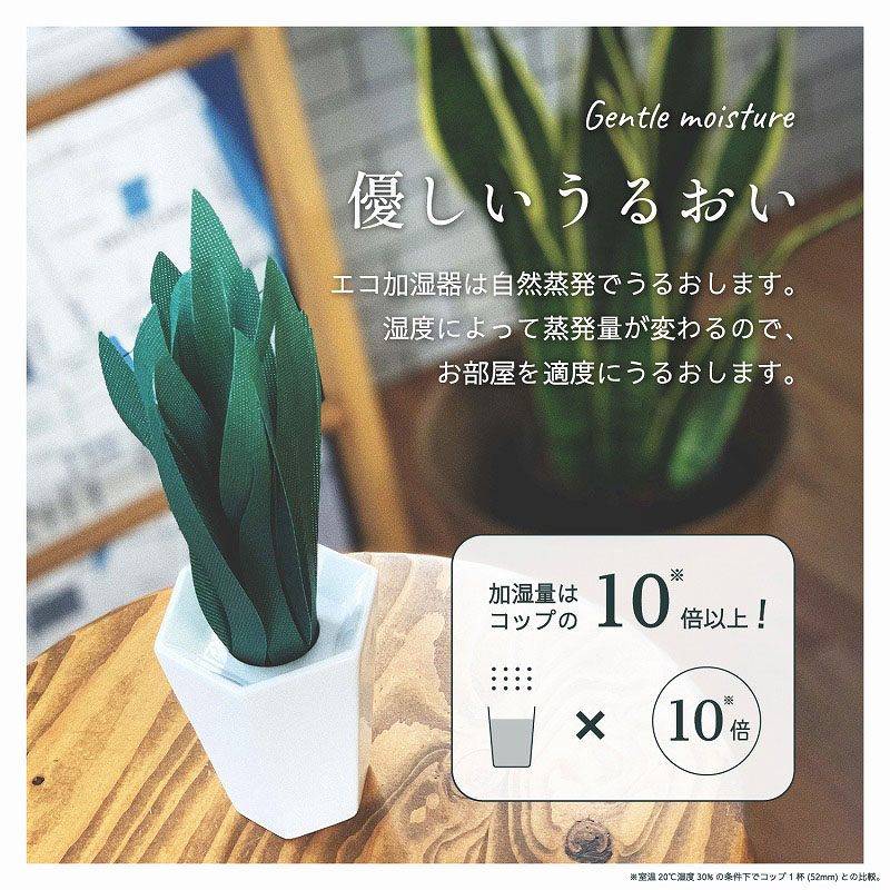 ミクニライフ＆オート エコ加湿器　ミスティプランツ　サンスベリア  U811-01 1個（ご注文単位20個）【直送品】