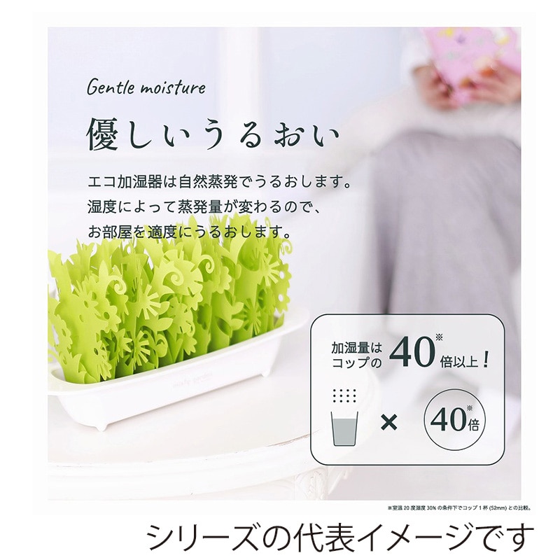 ミクニライフ＆オート エコ加湿器　ミスティガーデン2nd エバーグリーン×アンバー U602-12 1個（ご注文単位12個）【直送品】