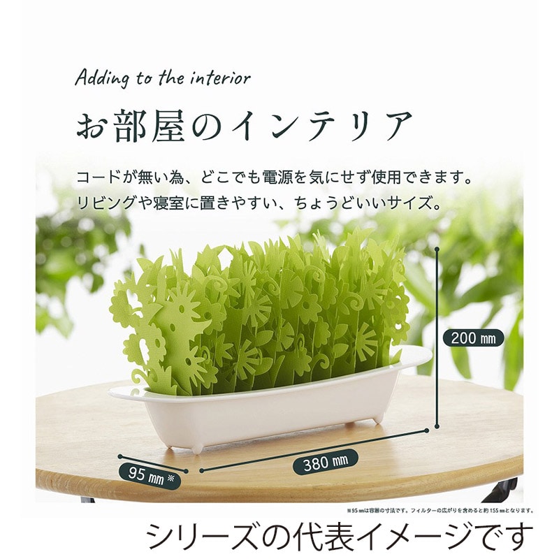 ミクニライフ＆オート エコ加湿器　ミスティガーデン2nd エバーグリーン×アンバー U602-12 1個（ご注文単位12個）【直送品】