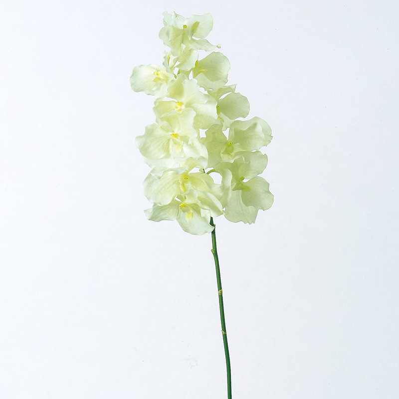 アスカ商会 造花 A-31072　バンダオーキッド×10 #052　ホワイトグリ-ン 1本（ご注文単位1本）【直送品】
