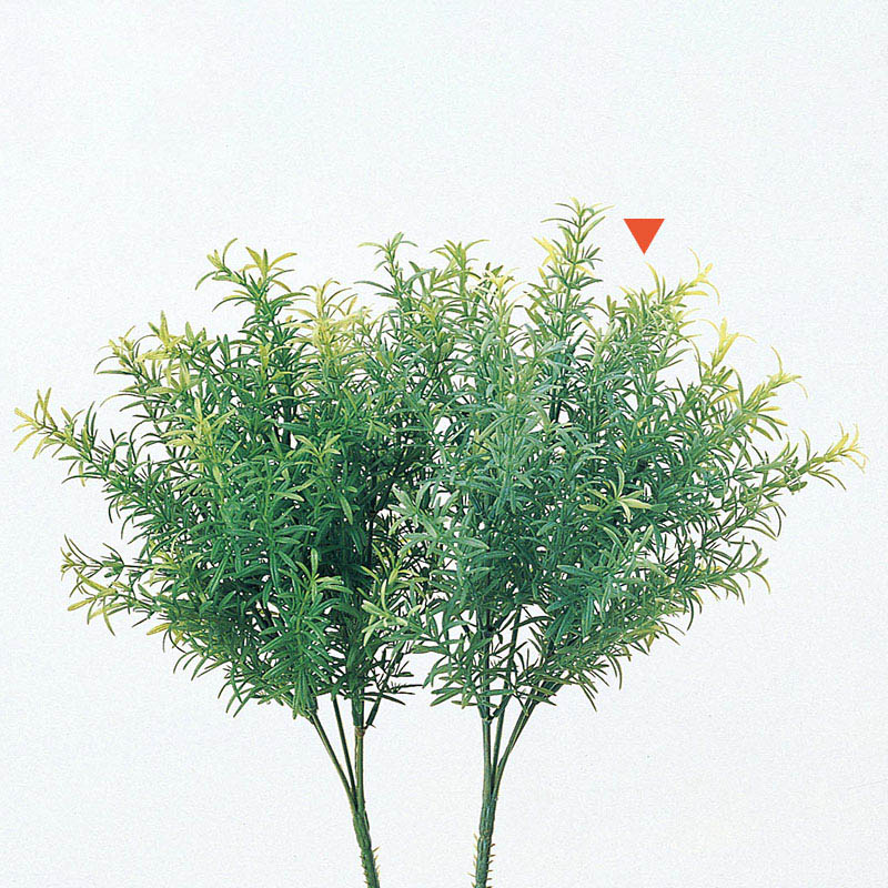 アスカ商会 造花・グリーン A-46031　ソニア #053A　クリ-ムグリ-ン 1本（ご注文単位1本）【直送品】