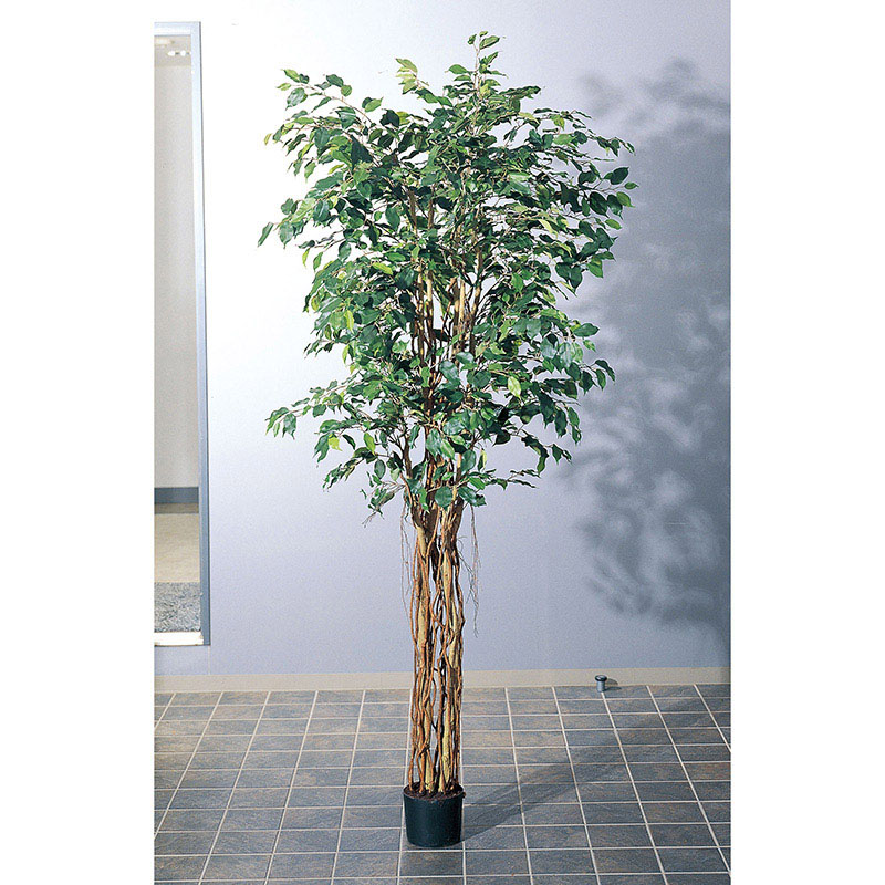 アスカ商会 造花・観葉植物 A-56006ファイカスツリー #051A　グリ-ン　ポット付 1個（ご注文単位1個）【直送品】