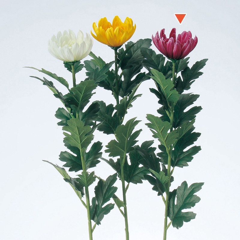 アスカ商会 造花 A-36095　マム　M #026　フッシャ 1本（ご注文単位1本）【直送品】