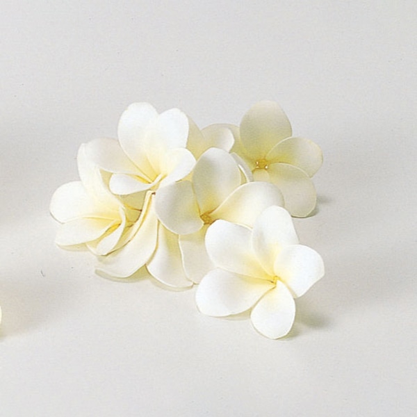 アスカ商会 造花 A-36121 プルメリア #001 ホワイト 1箱(ご注文単位1箱)【直送品】
