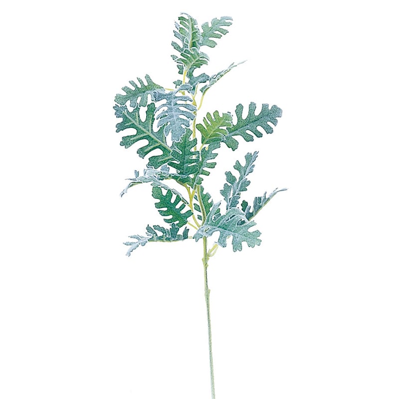 アスカ商会 造花・グリーン A-46091ダスティミラーシロタエギク #051F　フロストグリ-ン 1本（ご注文単位1本）【直送品】