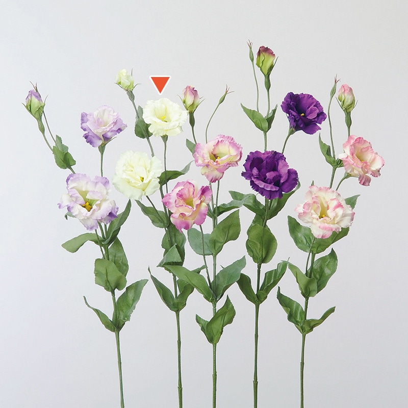 アスカ商会 造花 A-36127トルコギキョウ #011　クリ-ムホワイト 1本（ご注文単位1本）【直送品】