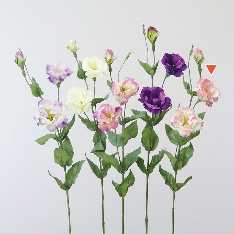 アスカ商会 造花 A-36127トルコギキョウ #055C　クリ-ムモ-ブ 1本（ご注文単位1本）【直送品】