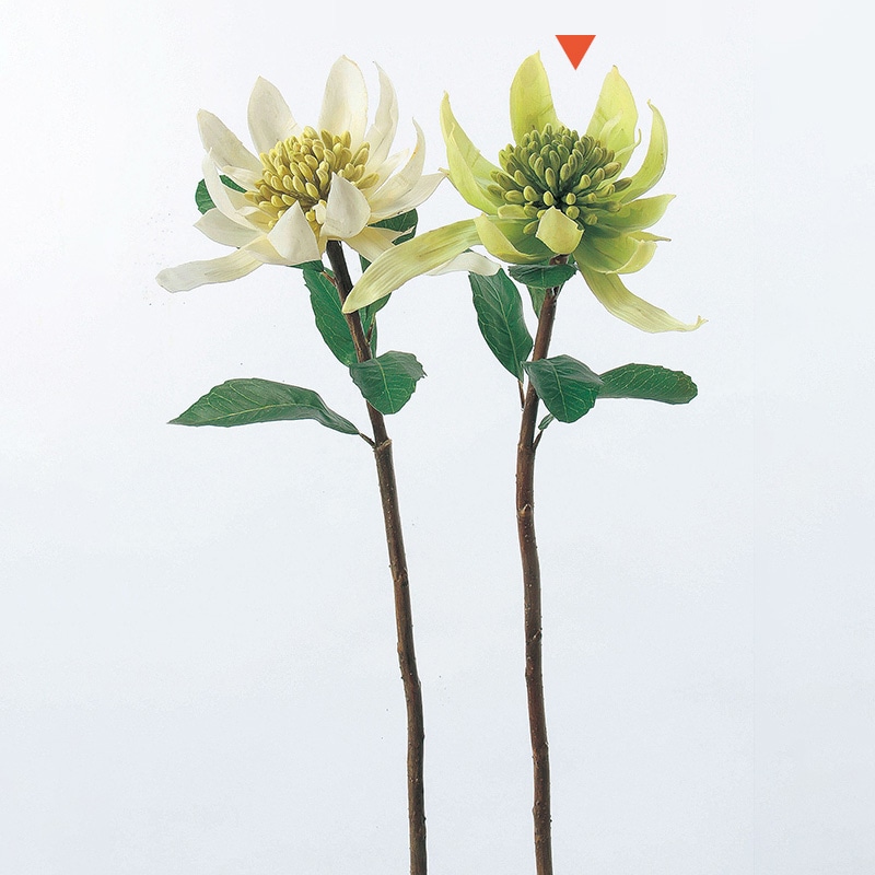 アスカ商会 造花 A-31182　ジンジャーフラワー #051　セロリ 1本（ご注文単位1本）【直送品】