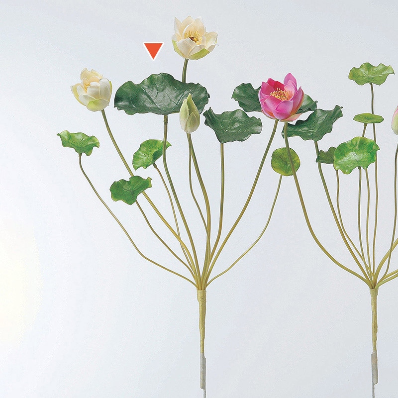 アスカ商会 造花 A-31205ミニロータス #011　クリ-ムホワイト 1本（ご注文単位1本）【直送品】