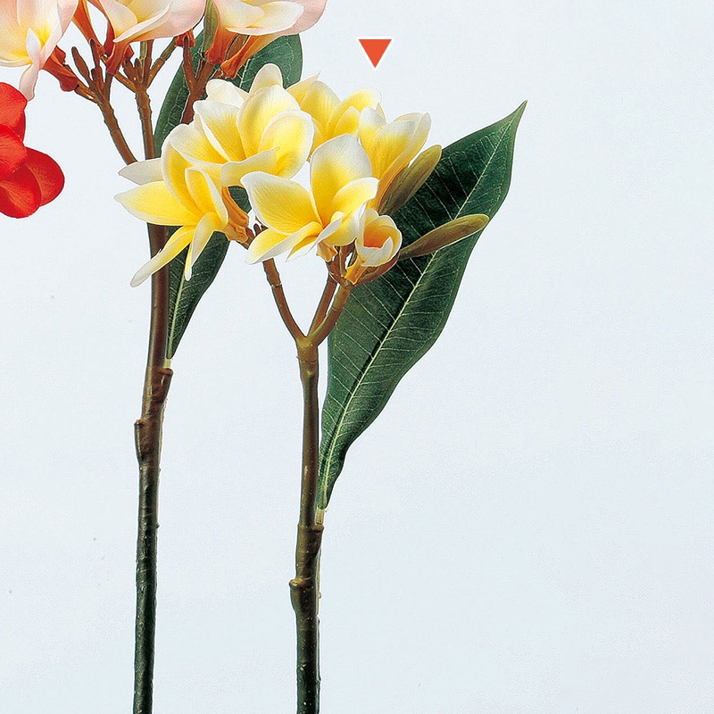 アスカ商会 造花 A-31220プルメリア #010 イエロ- 1本(ご注文単位1本)【直送品】