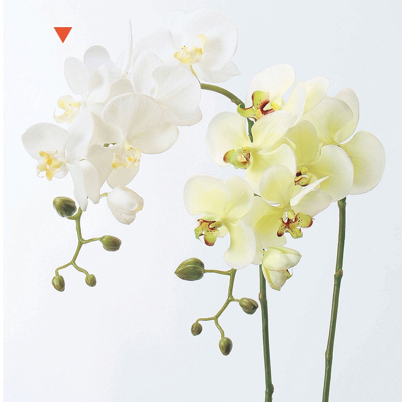 アスカ商会 造花 A-31257コチョウランS #001 ホワイト 1本(ご注文単位1本)【直送品】