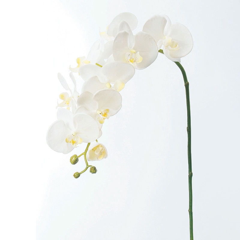 アスカ商会 造花 A-31258コチョウランM #001 ホワイト 1本(ご注文単位1本)【直送品】