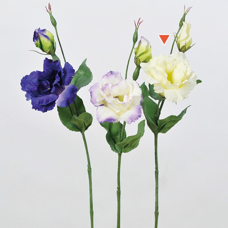 アスカ商会 造花 A-31267トルコギキョウ #011　クリ-ムホワイト 1本（ご注文単位1本）【直送品】