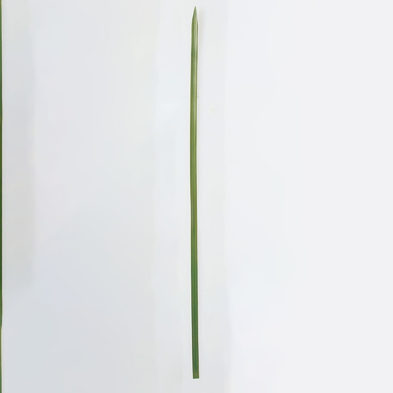 アスカ商会 造花・グリーン A-40315　シングルリーフ　M #051A　グリ-ン 1袋（ご注文単位1袋）【直送品】