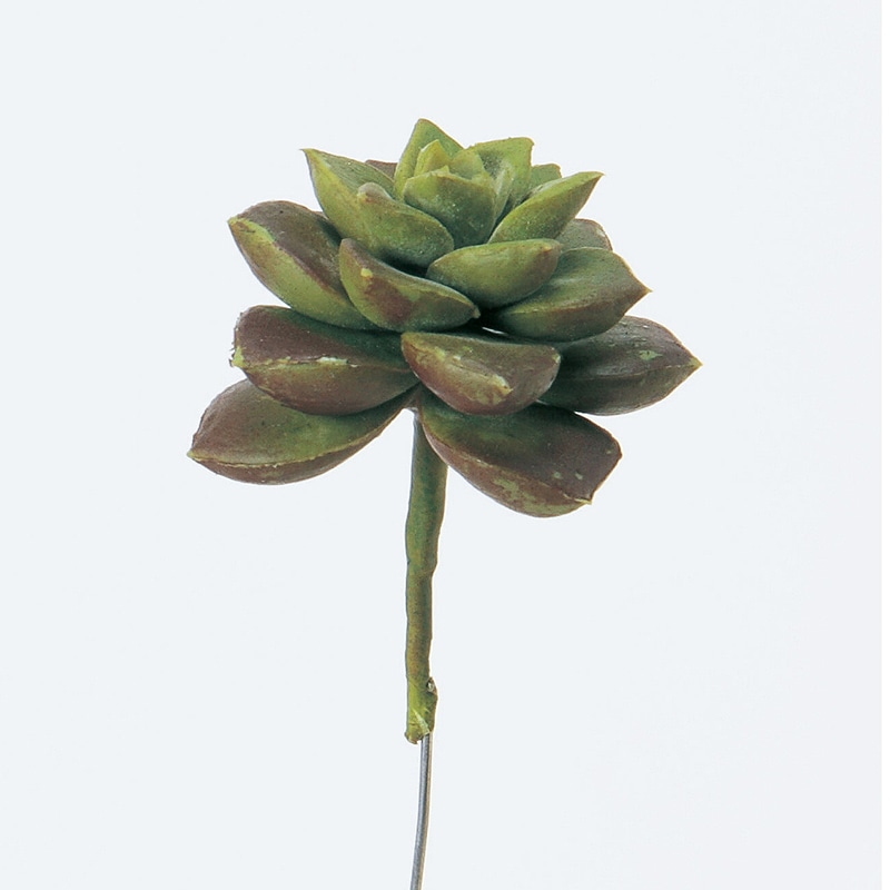 アスカ商会 造花・グリーン A-41265　サッカレンテン #051G　グリ-ンレッド 1本（ご注文単位1本）【直送品】