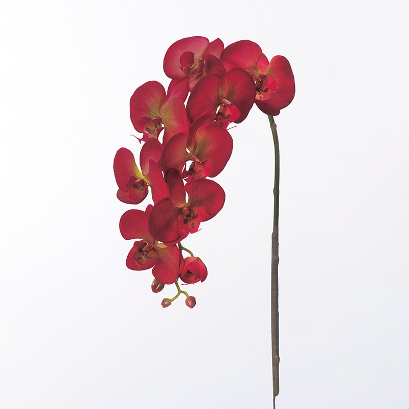 アスカ商会 造花 A-39483コチョウラン #002 レッド 1本(ご注文単位1本)【直送品】