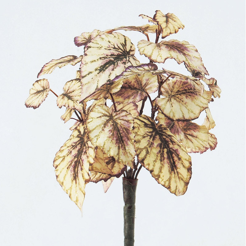 アスカ商会 造花・グリーン A-41355　レックスベゴニアブッシュ #053B　ライトイエローグリーン 1本（ご注文単位1本）【直送品】