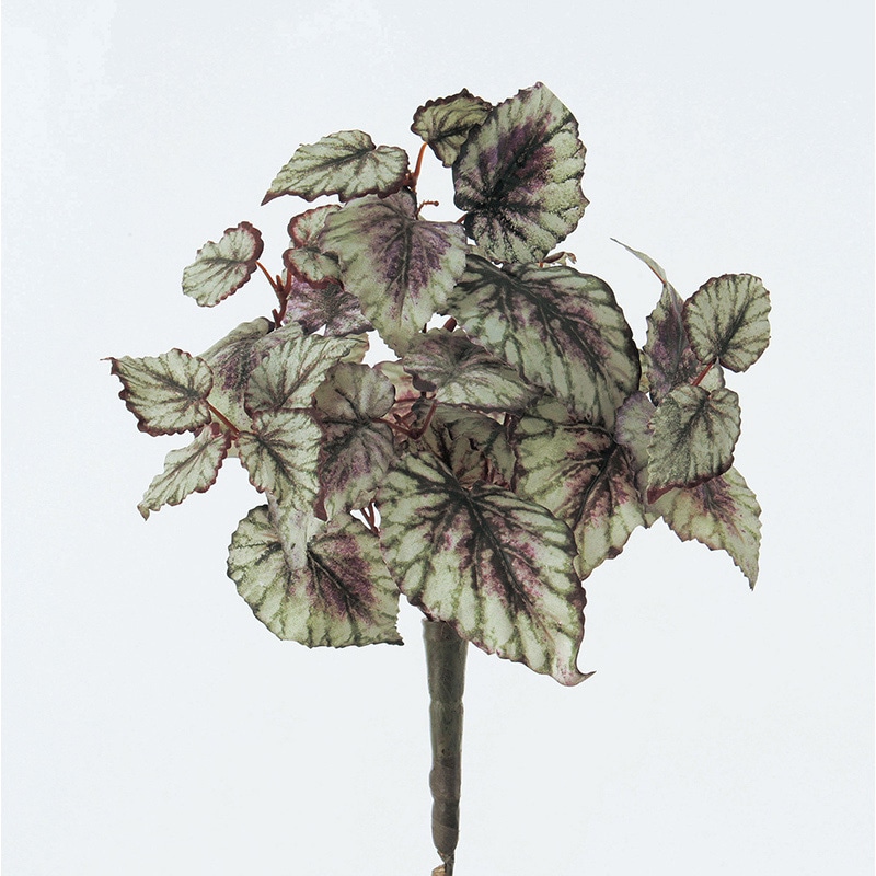 アスカ商会 造花・グリーン A-41355　レックスベゴニアブッシュ #053P　グリーンパープル 1本（ご注文単位1本）【直送品】