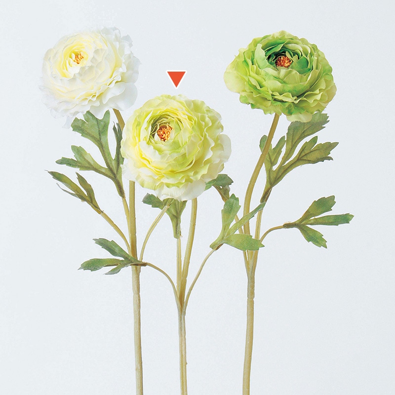 アスカ商会 造花 A-31841　ラナンキュラス #053A　クリームグリーン 1本（ご注文単位1本）【直送品】