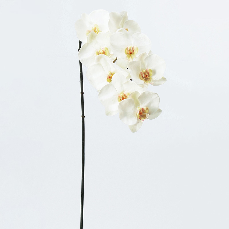 アスカ商会 造花 A-31919 コチョウラン×8 #001 ホワイト 1本(ご注文単位1本)【直送品】