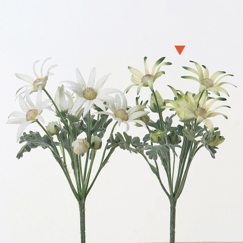 アスカ商会 造花 A-32306エーデルワイス #053A　クリームグリーン 1本（ご注文単位1本）【直送品】