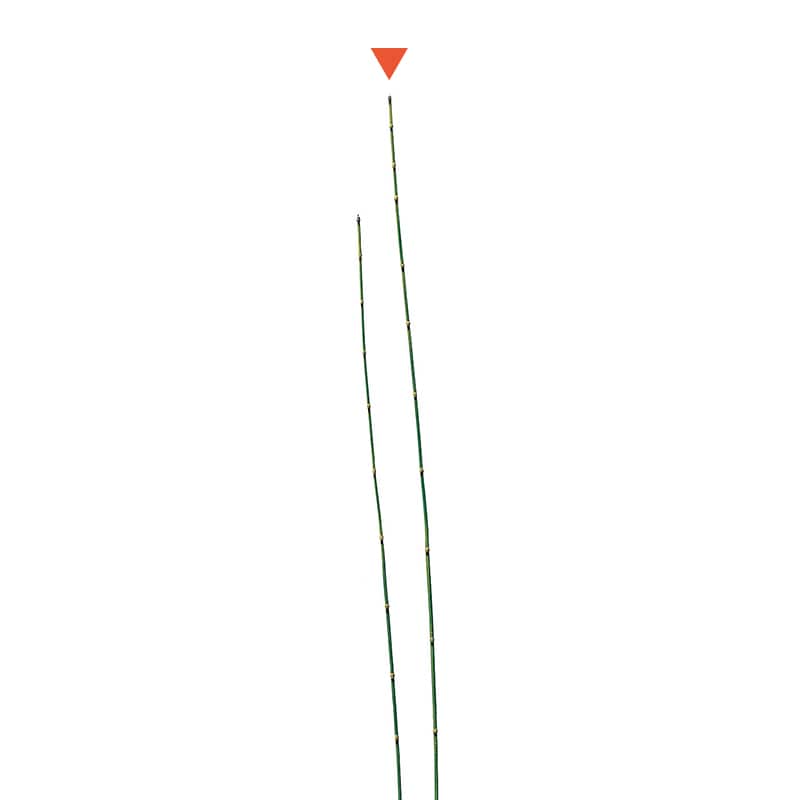 アスカ商会 造花・グリーン A-41715　トクサ　M #051A　グリーン 1本（ご注文単位1本）【直送品】