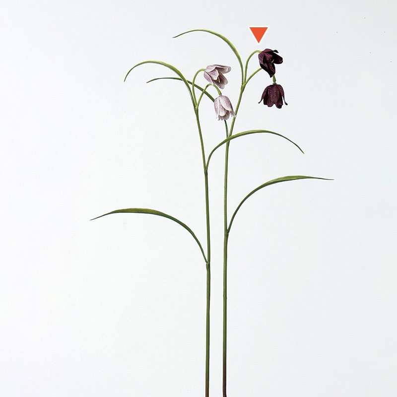 >アスカ商会 造花 A-32394 フリチラリア×2 #015 バ-ガンディ 1本(ご注文単位1本)【直送品】