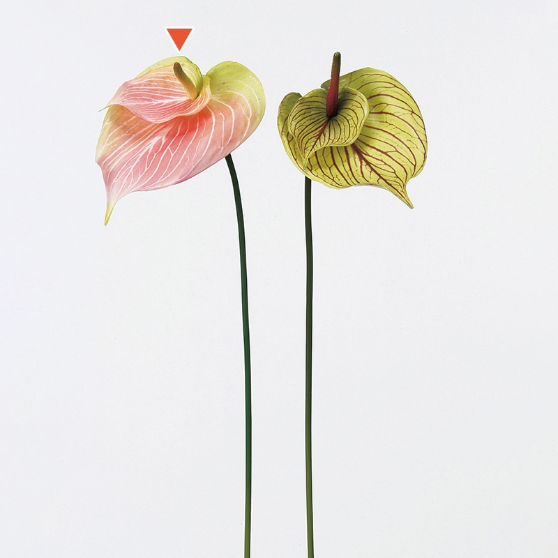 アスカ商会 造花 A-32376　アンスリウム #003G　ピンクグリ-ン 1本（ご注文単位1本）【直送品】