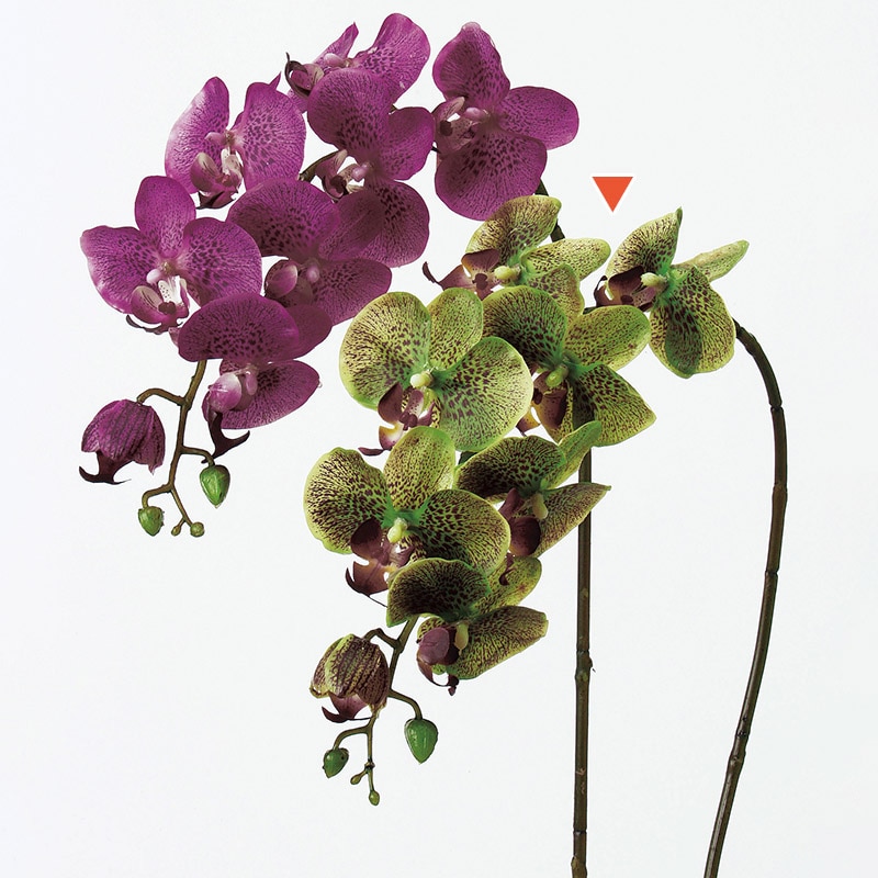 アスカ商会 造花 A-32409コチョウラン #051A　グリ-ン 1本（ご注文単位1本）【直送品】