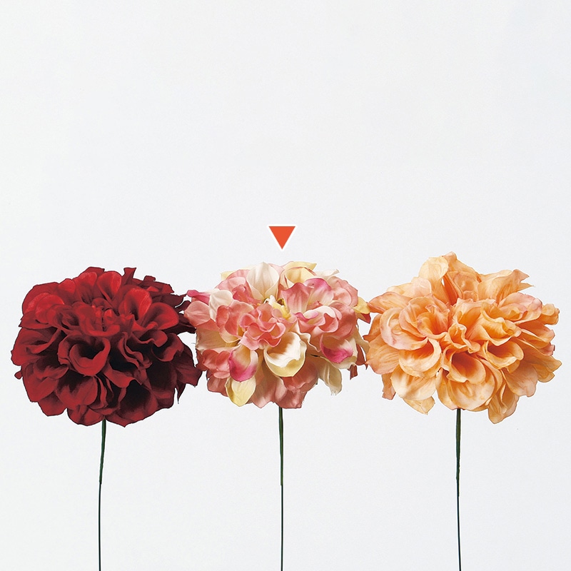 ピンクホワイト