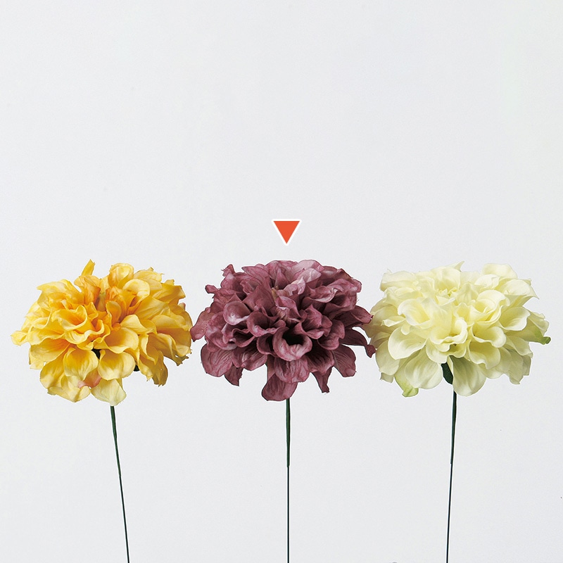 ダスティローズ