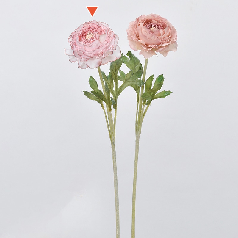 ピンクホワイト