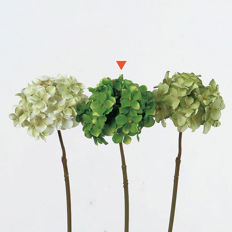 ダークグリーン