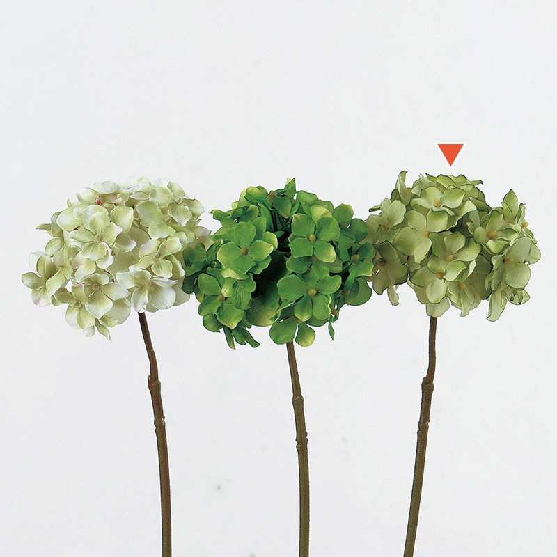 ライトグリーン