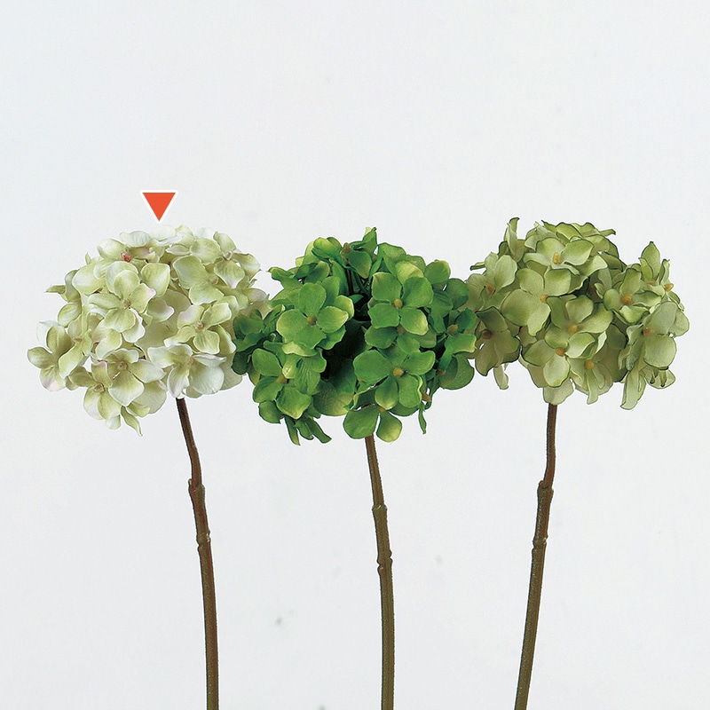 ピンクグリーン